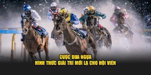 Cược Đua Ngựa – Hình Thức Giải Trí Mới Lạ Cho Hội Viên